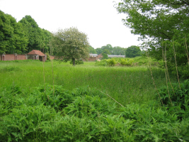 Photograph of the cricket ground.