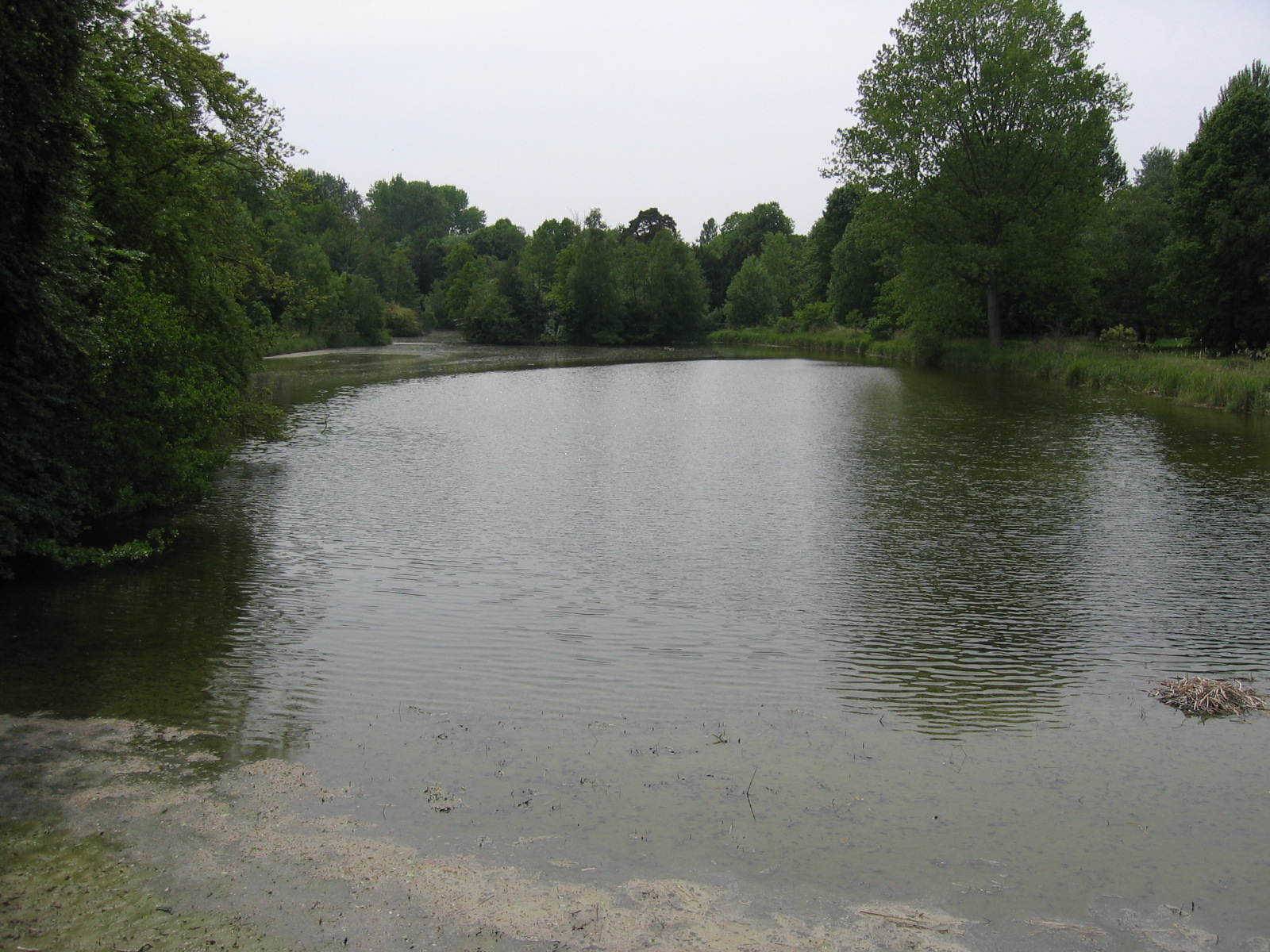 Photograph of the lake.