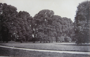 Photograph of the North Avenue.